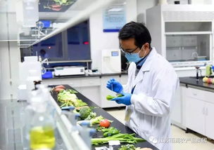 給力！2019全國農業產業化龍頭企業500強發布，徐州這家企業憑借檢驗檢測服務上榜