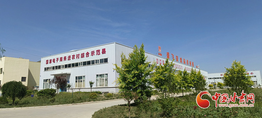 香約慶陽(yáng) 包容天下丨環(huán)縣 以“六統(tǒng)一”模式助推電商發(fā)展提檔升級(jí)，助力飼料添加劑產(chǎn)業(yè)新跨越